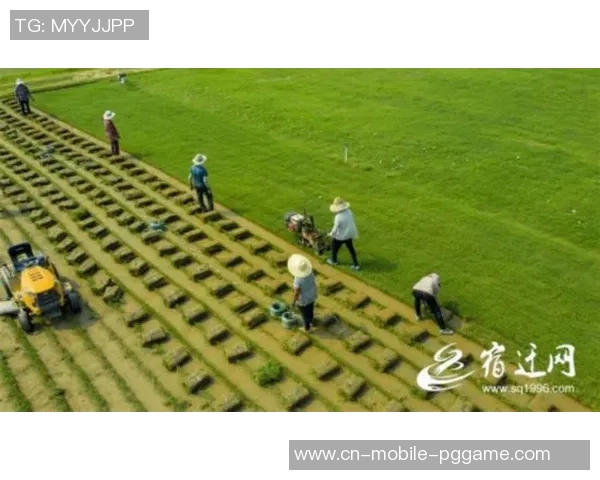 江苏宿迁中睿与内蒙古草上飞激战正酣比分揭晓精彩瞬间回顾