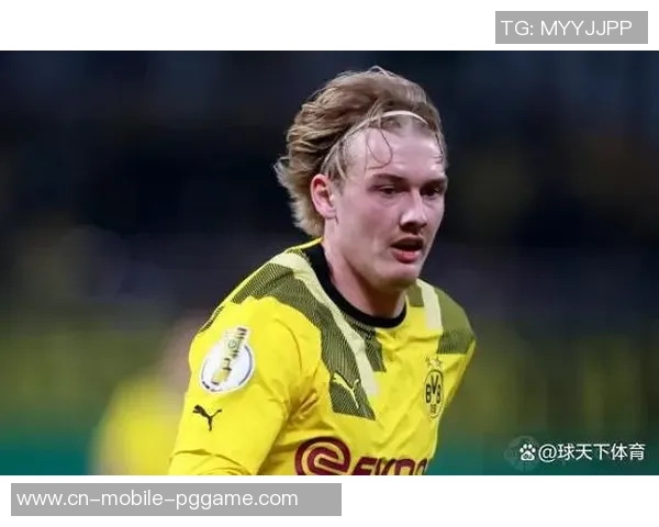 布兰特：我不喜欢多特打败霍村的竞赛方法，应该少一些高空球